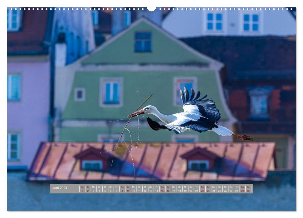 Regensburg Mittelalterliche Stadt mit Flair an der Donau (CALVENDO Premium Wandkalender 2024)