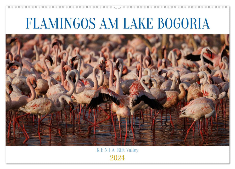 Flamingos am Lake Bogoria - Kenia (CALVENDO Wandkalender 2024)