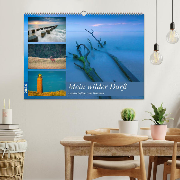 Mein wilder Darß - Landschaften zum Träumen (CALVENDO Wandkalender 2024)