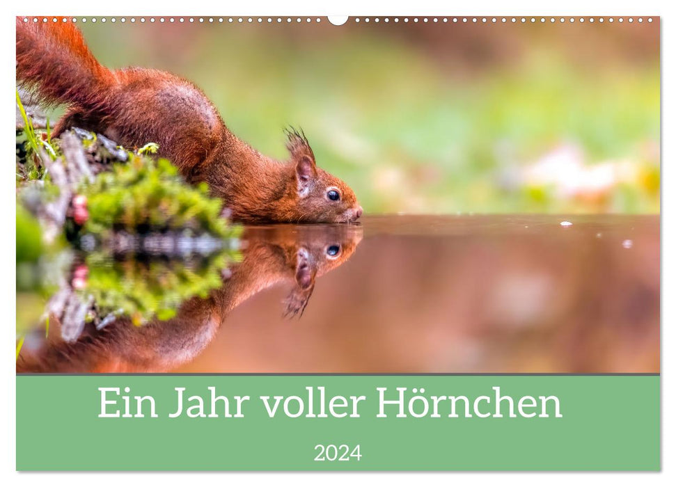Ein Jahr voller Hörnchen (CALVENDO Wandkalender 2024)