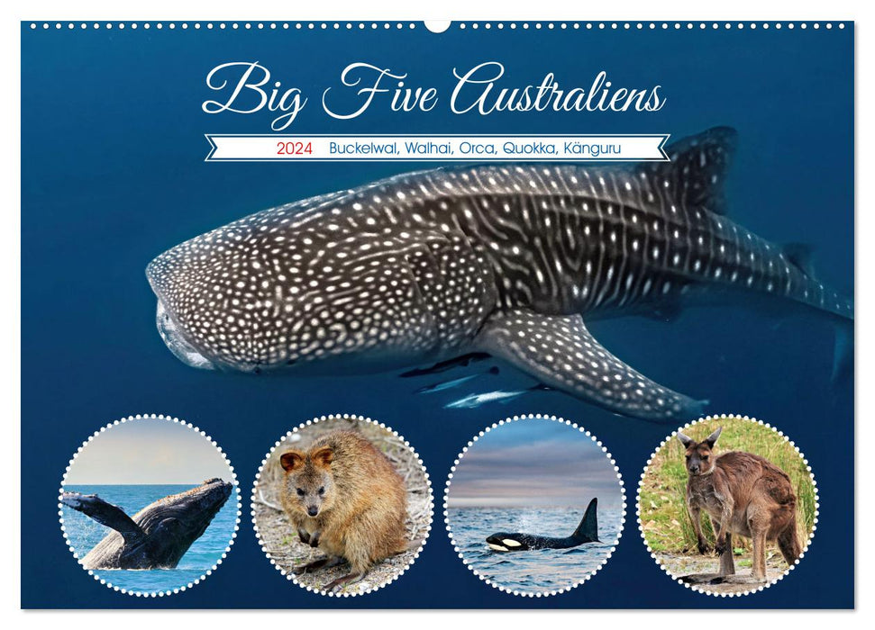 Big Five Australiens Buckelwal, Walhai, Orca, Quokka,Känguru (CALVENDO Wandkalender 2024)