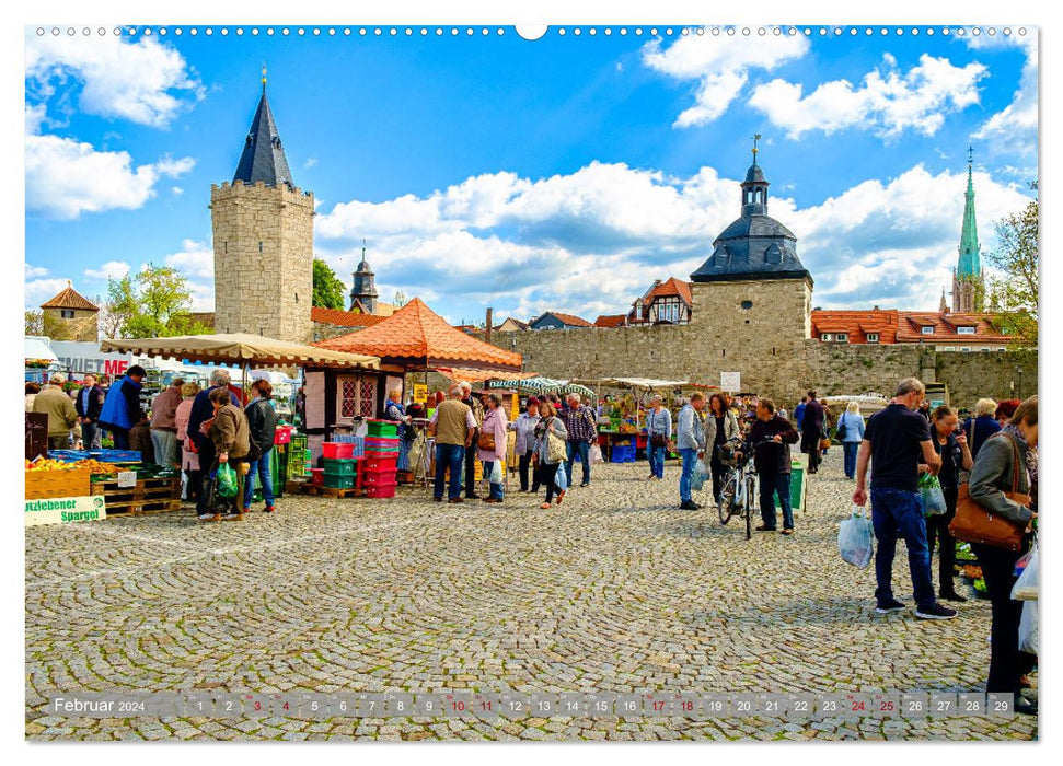 Ein Blick auf Mühlhausen in Thüringen (CALVENDO Wandkalender 2024)