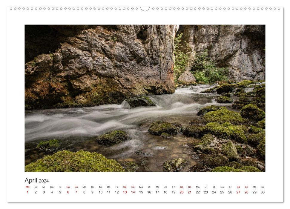 Slowenien - Wilde Bären und zauberhafte Natur (CALVENDO Premium Wandkalender 2024)
