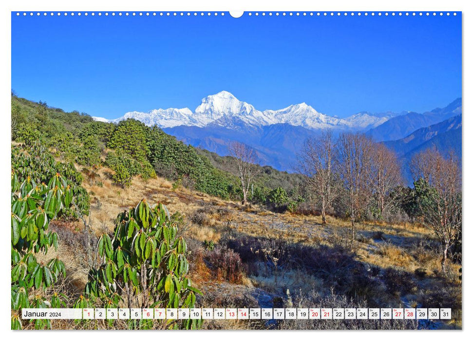 Der POON HILL TREK in NEPAL (CALVENDO Wandkalender 2024)