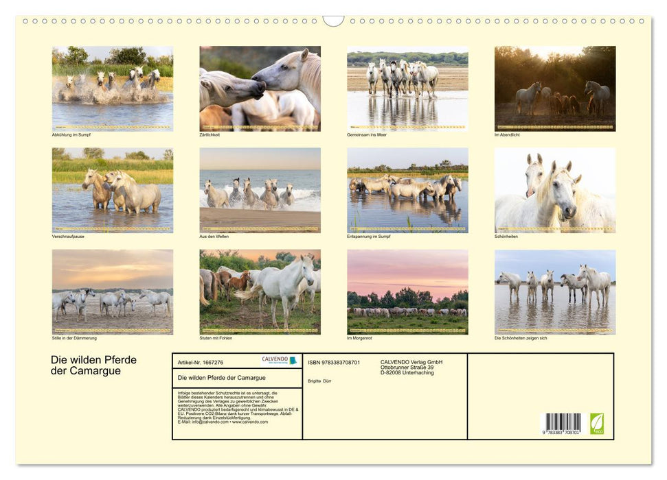 Die wilden Pferde der Camargue (CALVENDO Wandkalender 2024)