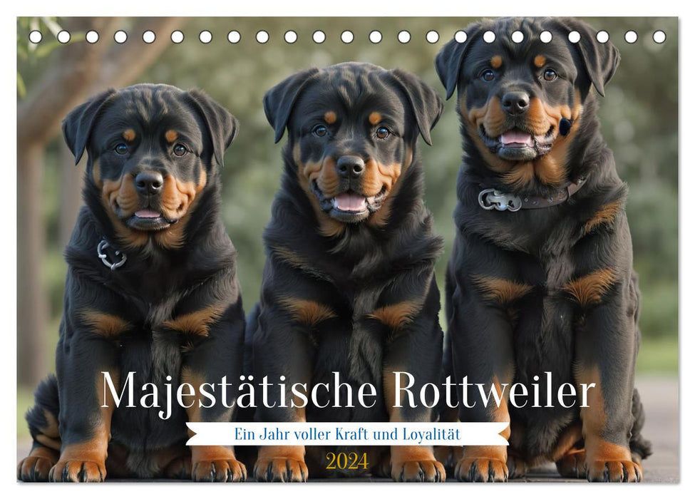 Majestätische Rottweiler: Ein Jahr voller Kraft und Loyalität (CALVENDO Wandkalender 2024)
