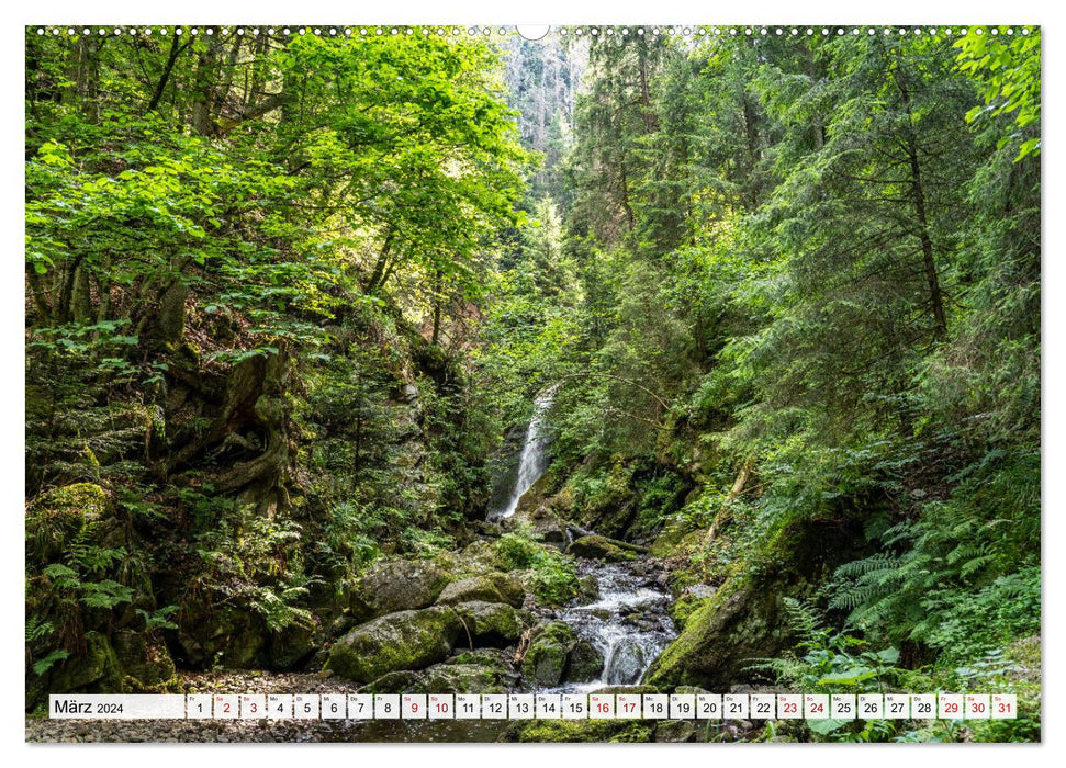 Traumhafte Wälder (CALVENDO Premium Wandkalender 2024)