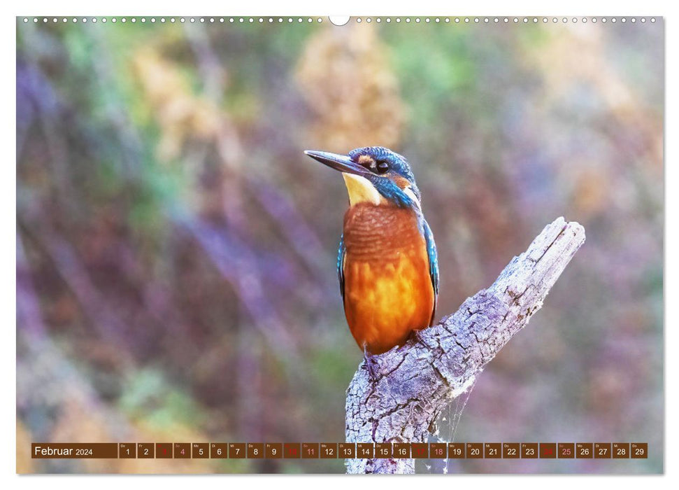 Die Vogelwelt der Camargue (CALVENDO Premium Wandkalender 2024)