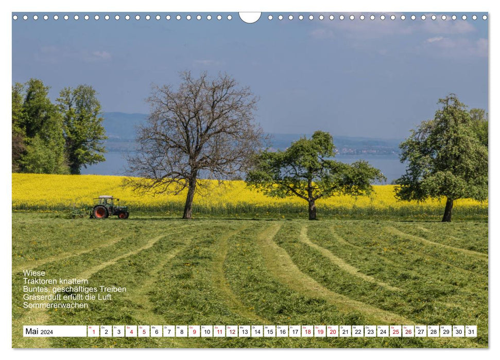 Mit Elfchen durch das Jahr (CALVENDO Wandkalender 2024)