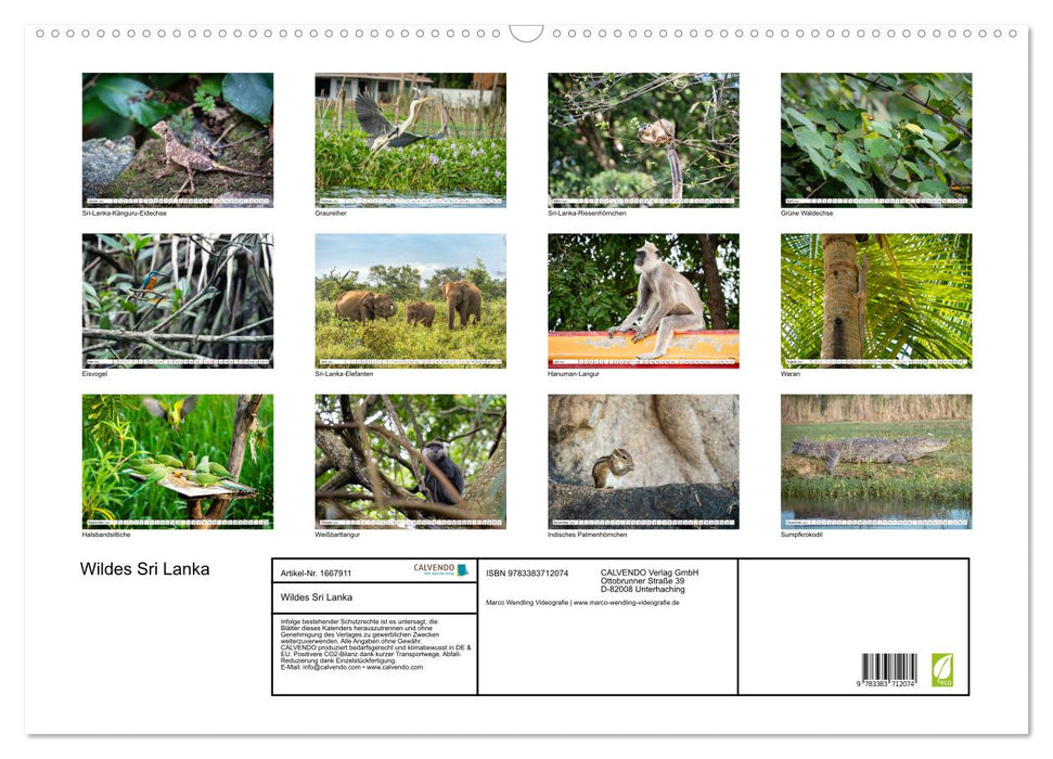 Wildes Sri Lanka (CALVENDO Wandkalender 2024)