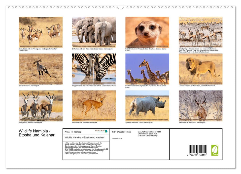 Wildlife Namibia - Etosha und Kalahari (CALVENDO Premium Wandkalender 2024)