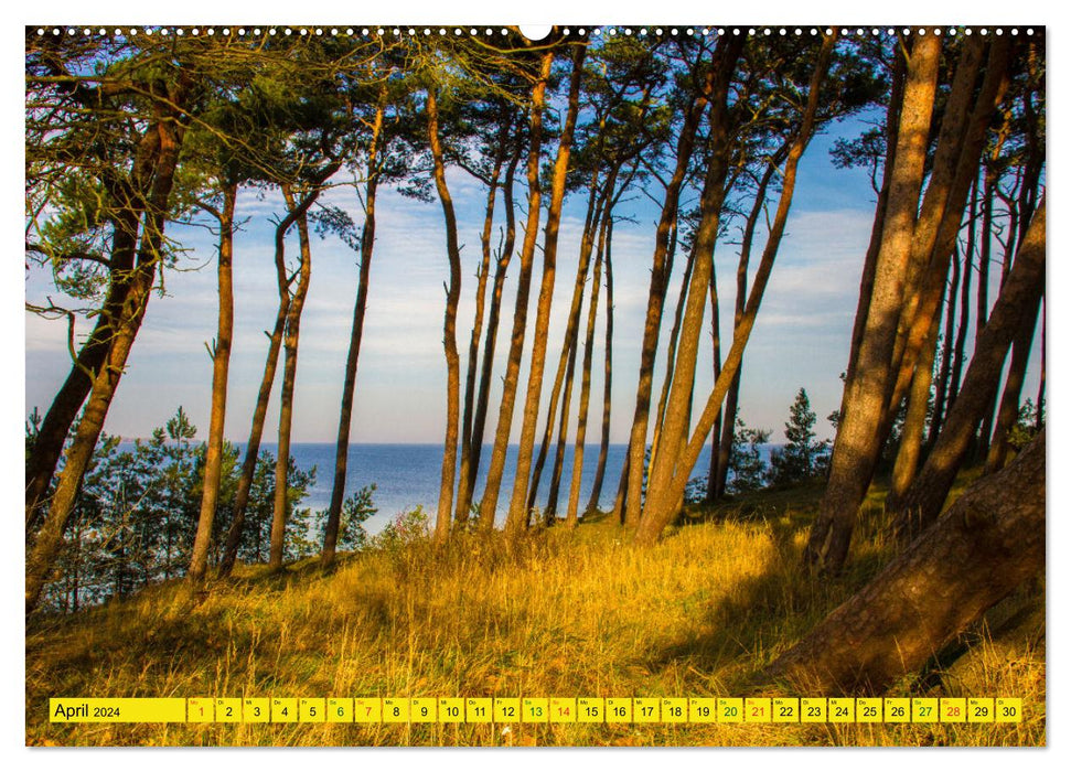 Erlebnis Ostseeküste - zwischen Wismarer Bucht und Usedom (CALVENDO Wandkalender 2024)