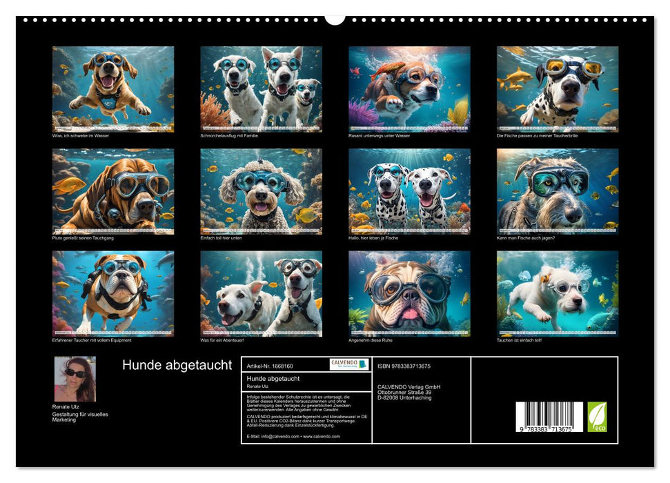 Hunde abgetaucht (CALVENDO Premium Wandkalender 2024)