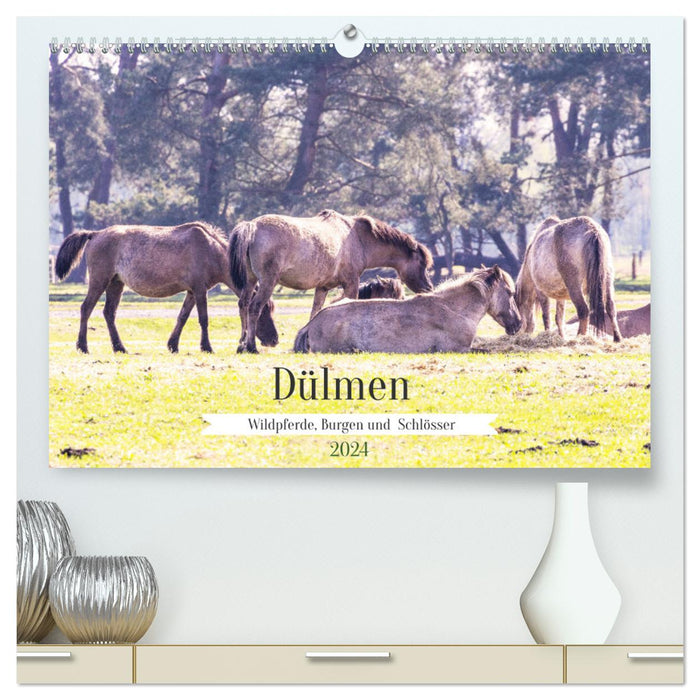 Dülmen - chevaux sauvages, châteaux et palais (Calendrier mural CALVENDO Premium 2024) 