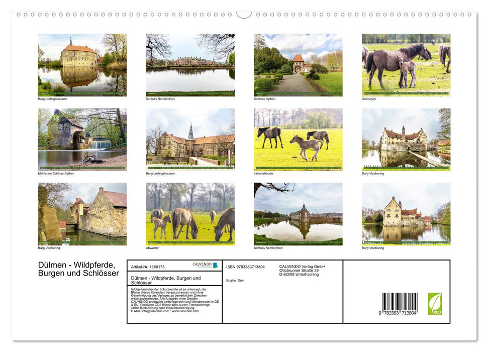 Dülmen - Wildpferde, Burgen und Schlösser (CALVENDO Premium Wandkalender 2024)