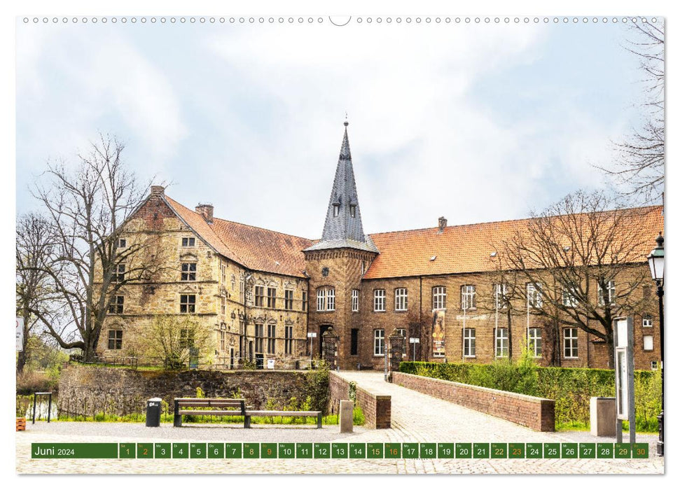 Dülmen - Wildpferde, Burgen und Schlösser (CALVENDO Premium Wandkalender 2024)