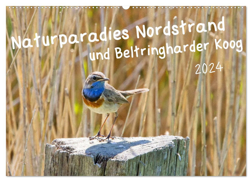 Naturparadies Nordstrand und Beltringharder Koog (CALVENDO Wandkalender 2024)