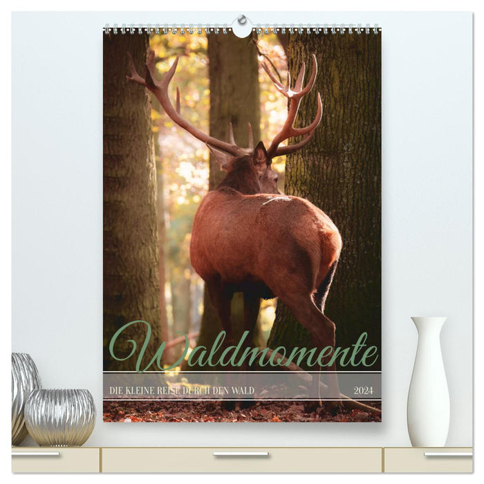 Waldmomente (CALVENDO Premium Wandkalender 2024)