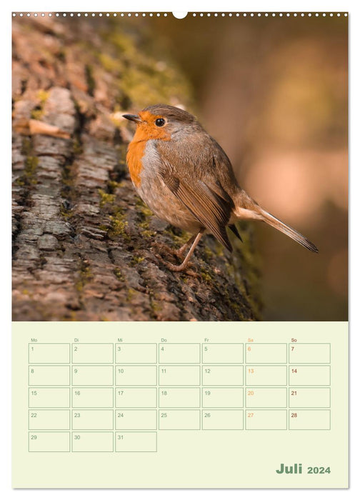 Waldmomente (CALVENDO Premium Wandkalender 2024)