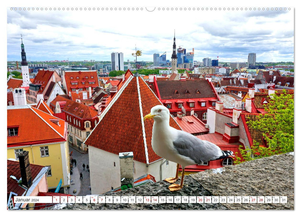 Tallinn City Tour (CALVENDO Wandkalender 2024)