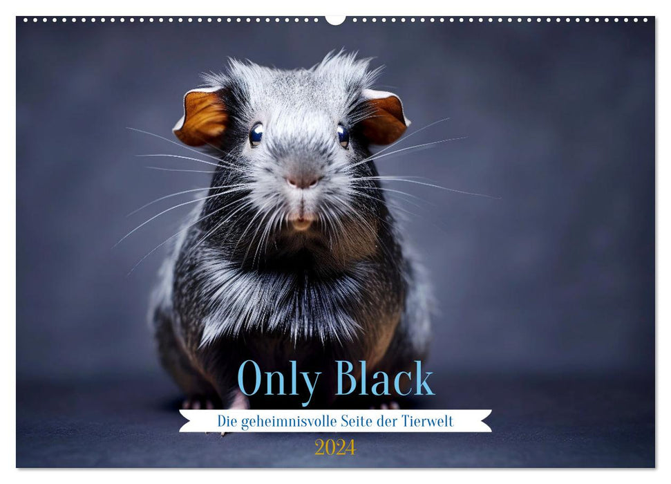 Only Black (CALVENDO Wandkalender 2024)
