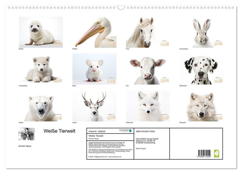 Weiße Tierwelt (CALVENDO Wandkalender 2024)