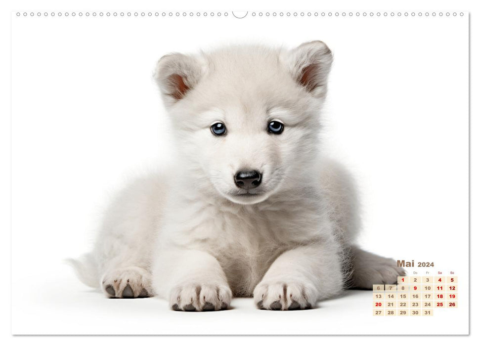 Weiße Tierwelt (CALVENDO Premium Wandkalender 2024)
