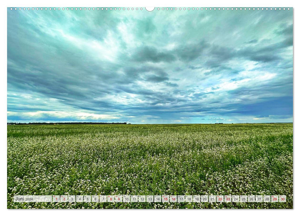 Fischland zwischen Ostsee und Bodden (CALVENDO Premium Wandkalender 2024)