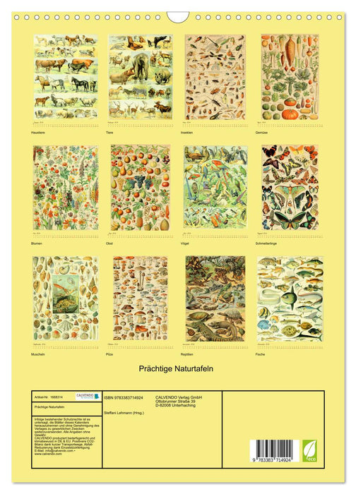 Prächtige Naturtafeln (CALVENDO Wandkalender 2024)
