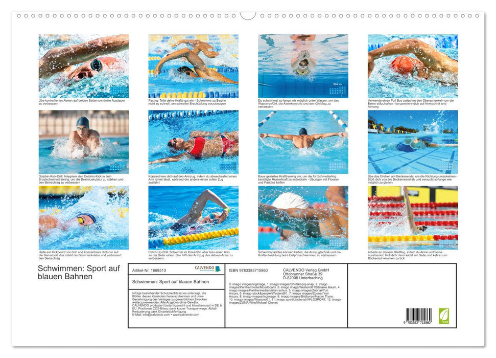 Schwimmen: Sport auf blauen Bahnen (CALVENDO Wandkalender 2024)