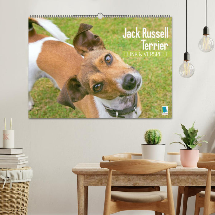 Jack Russell Terrier: flink und verspielt (CALVENDO Wandkalender 2024)