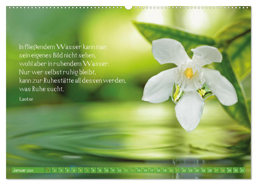 Natur-Meditationen - Nimm Dir Zeit (CALVENDO Premium Wandkalender 2024)