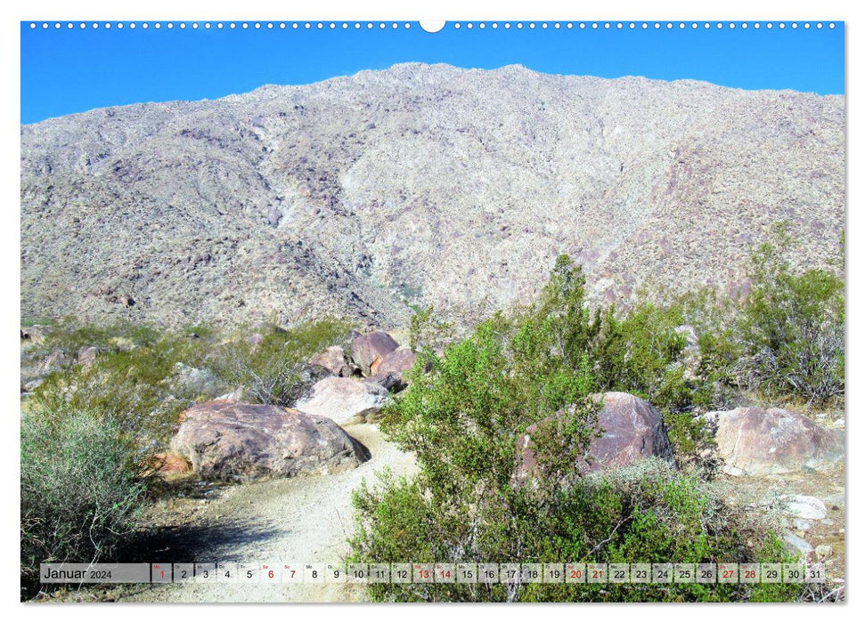 Palm Springs und Umgebung (CALVENDO Wandkalender 2024)