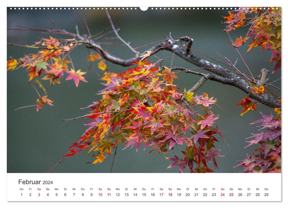 Japanischer Herbst und Laub (CALVENDO Wandkalender 2024)