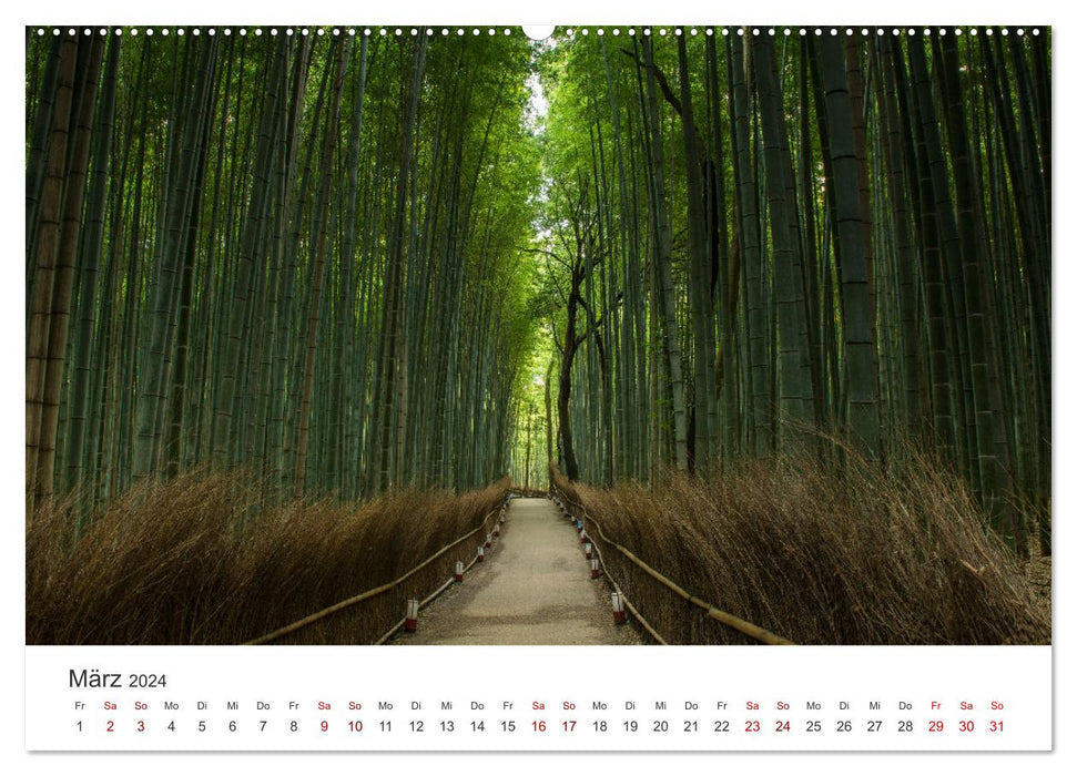 Japanischer Herbst und Laub (CALVENDO Wandkalender 2024)