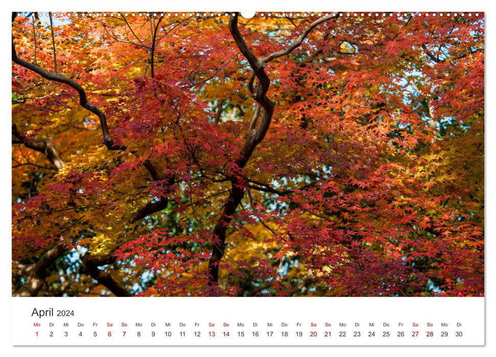 Japanischer Herbst und Laub (CALVENDO Wandkalender 2024)