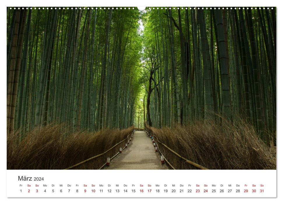 Japanischer Herbst und Laub (CALVENDO Premium Wandkalender 2024)