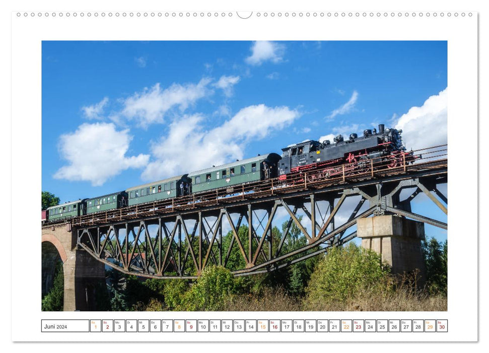 Museumsbahnen auf Tour (CALVENDO Premium Wandkalender 2024)