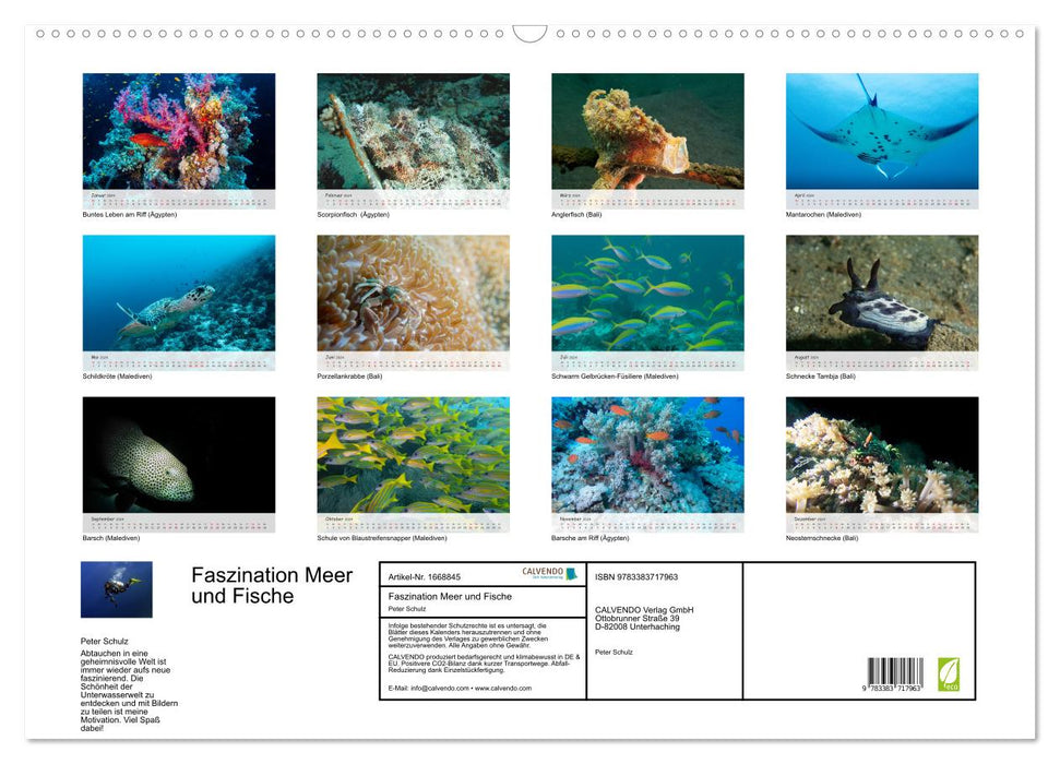 Faszination Meer und Fische (CALVENDO Wandkalender 2024)