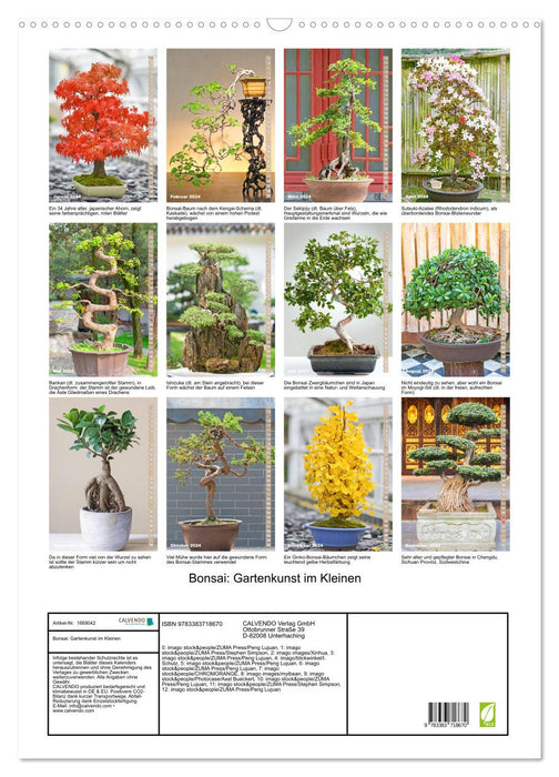 Bonsai: Gartenkunst im Kleinen (CALVENDO Wandkalender 2024)