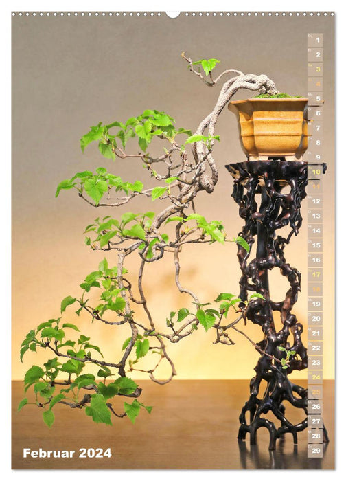Bonsai: Gartenkunst im Kleinen (CALVENDO Premium Wandkalender 2024)
