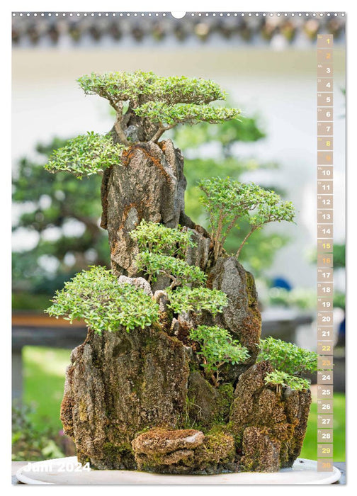 Bonsai: Gartenkunst im Kleinen (CALVENDO Premium Wandkalender 2024)