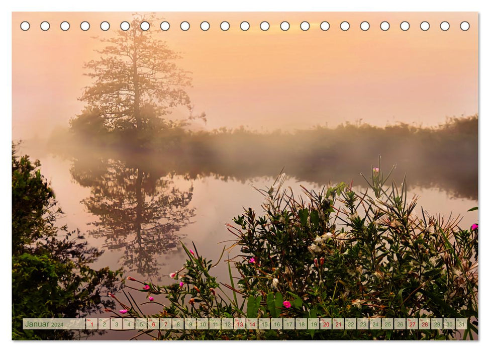 Morgenglühen & Nebelschimmer (CALVENDO Wandkalender 2024)