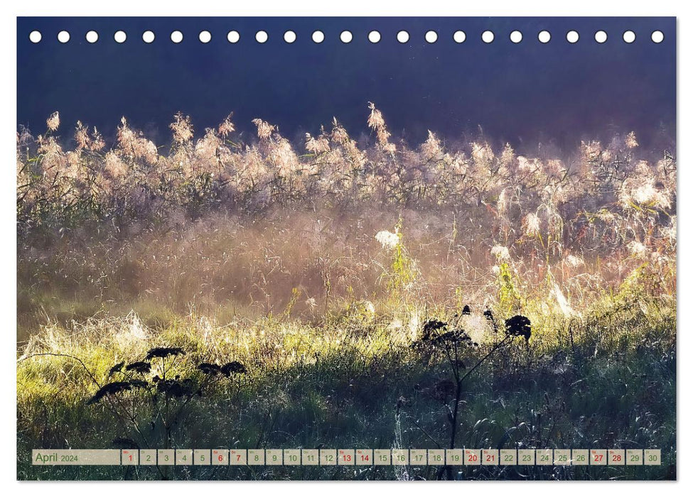 Morgenglühen & Nebelschimmer (CALVENDO Wandkalender 2024)