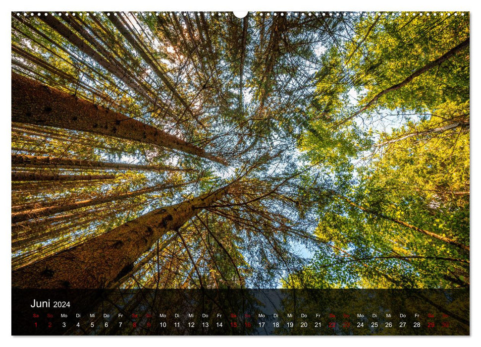 Wundervolle Naturlandschaften (CALVENDO Premium Wandkalender 2024)