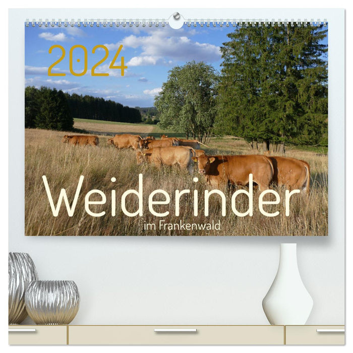 Weiderinder im Frankenwald (CALVENDO Premium Wandkalender 2024)