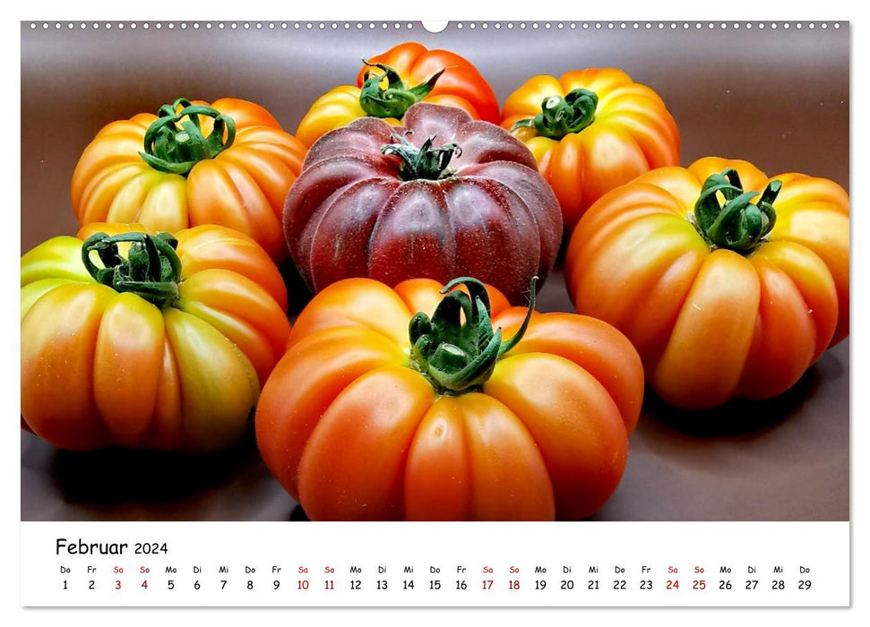 Tomaten Satt (CALVENDO Wandkalender 2024)