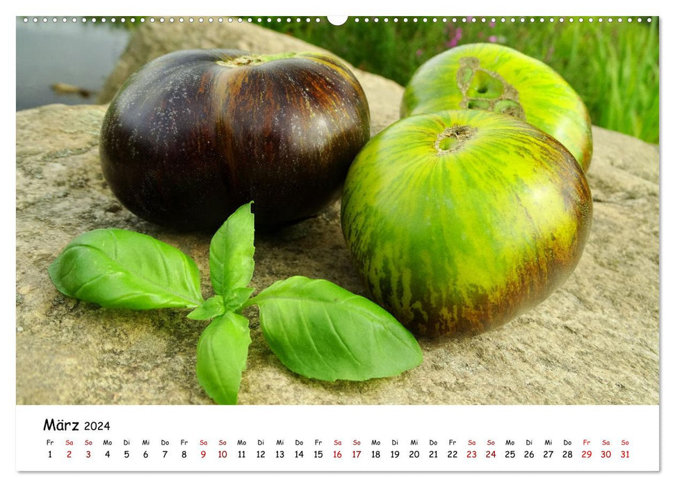 Tomaten Satt (CALVENDO Wandkalender 2024)