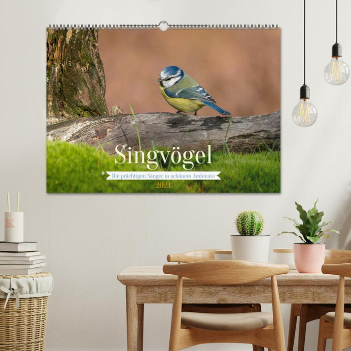 SINGING BIRDS - Les magnifiques chanteurs dans une belle ambiance (Calendrier mural CALVENDO 2024)