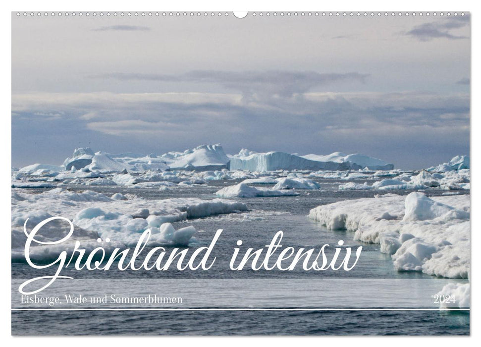Groenland intensif (Calendrier mural CALVENDO 2024) 